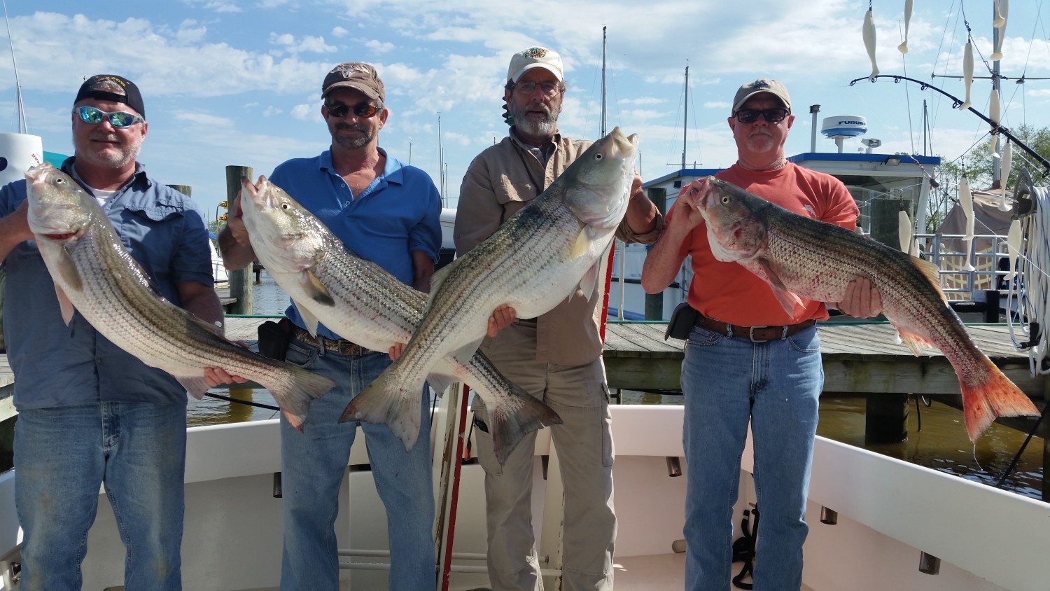 Chesapeake Bay Fishing Charter- Big Rockfish are Snapping