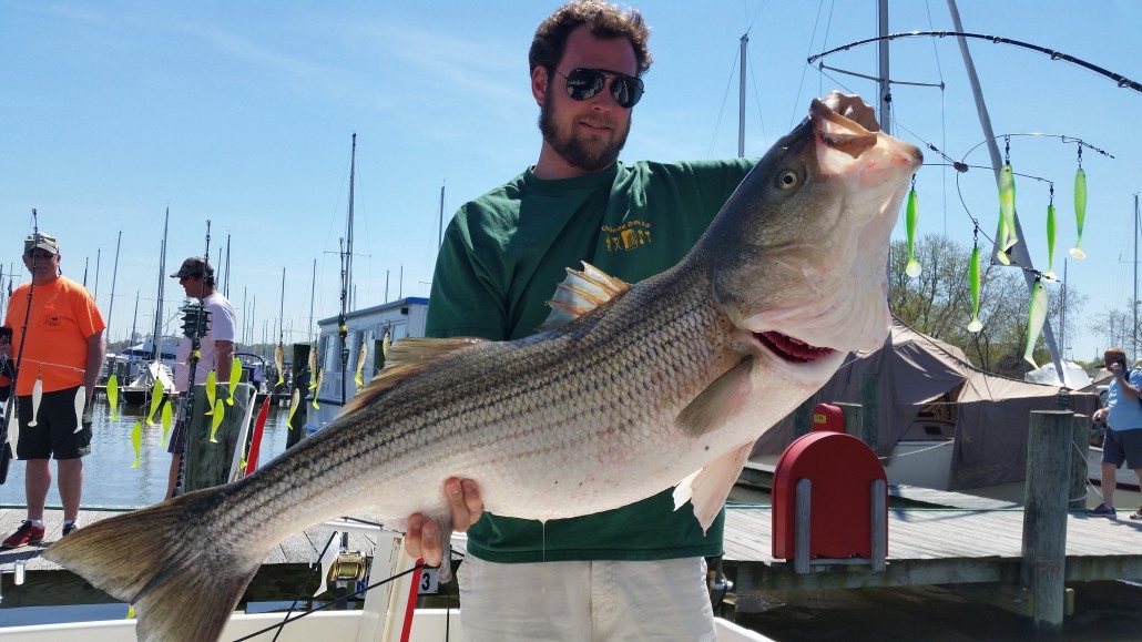 Chesapeake Bay Fishing Charter Only A Month Until Fishing