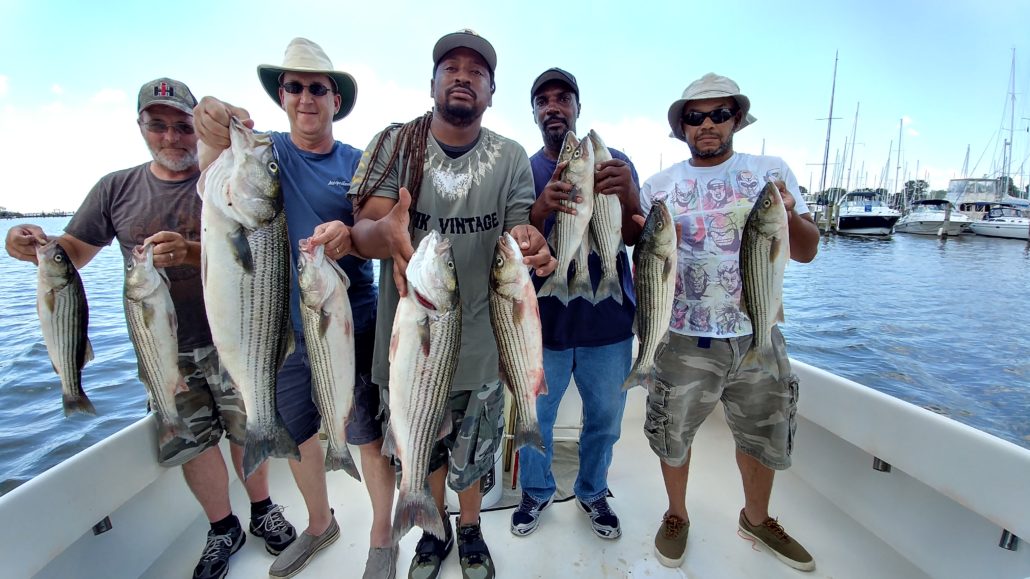 Chesapeake Bay Fishing Charter Chasing Down Chesapeake Rockfish