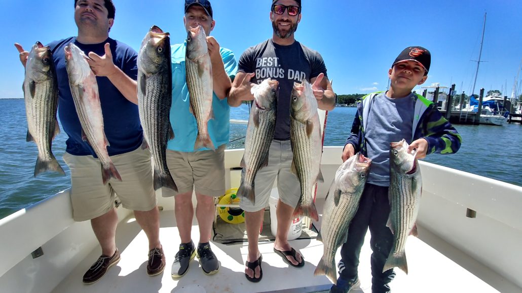 Chesapeake Bay Fishing Charter Chasing Down Chesapeake Rockfish