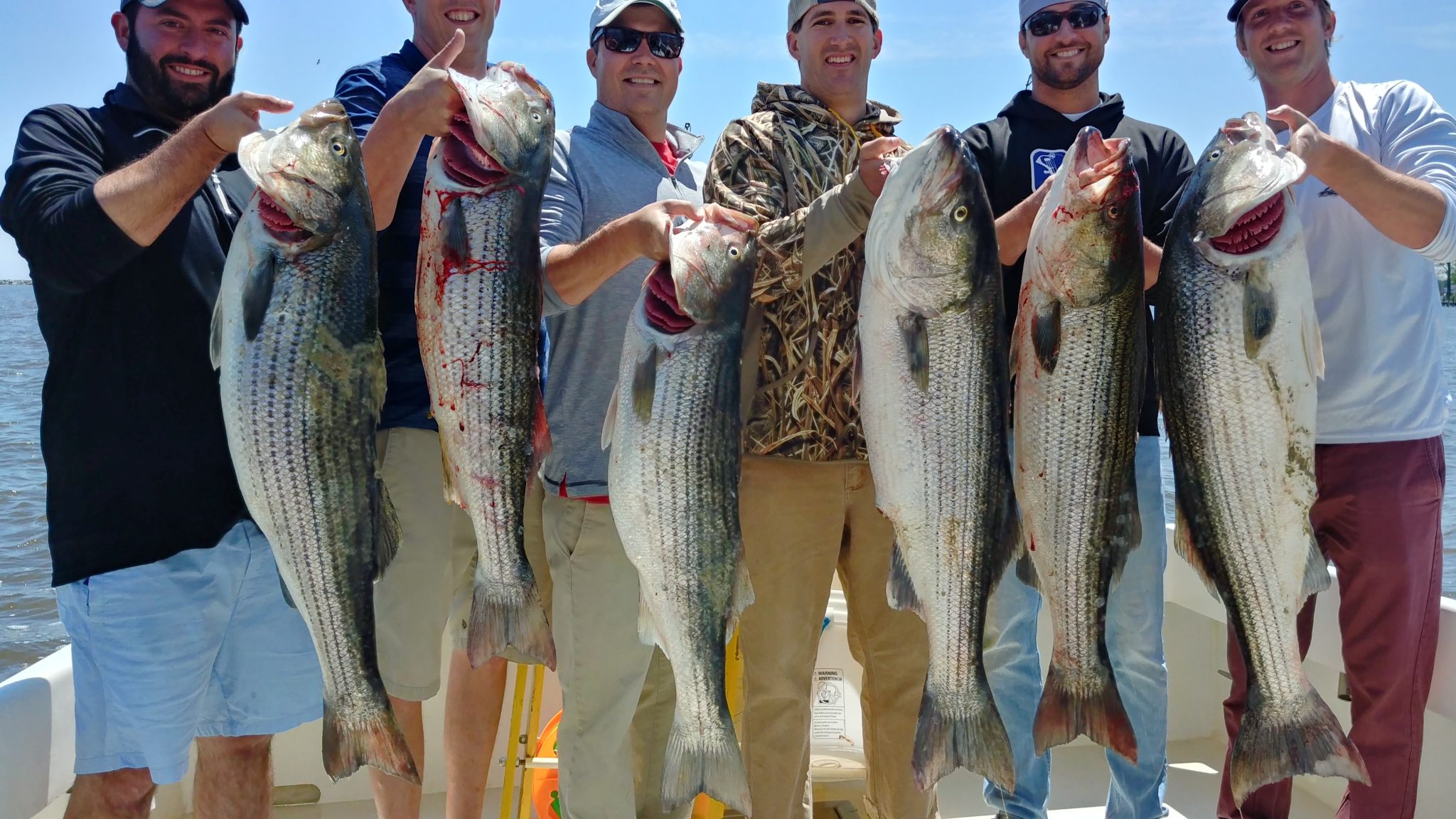 Chesapeake Bay Fishing Charter Rockfish Limit Doubles on Wednesday