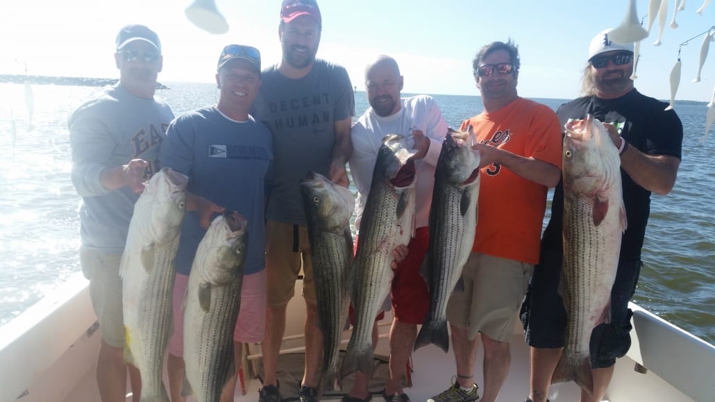Chesapeake Bay Fishing Charter Spring Trophy Rockfish Season Prime Dates