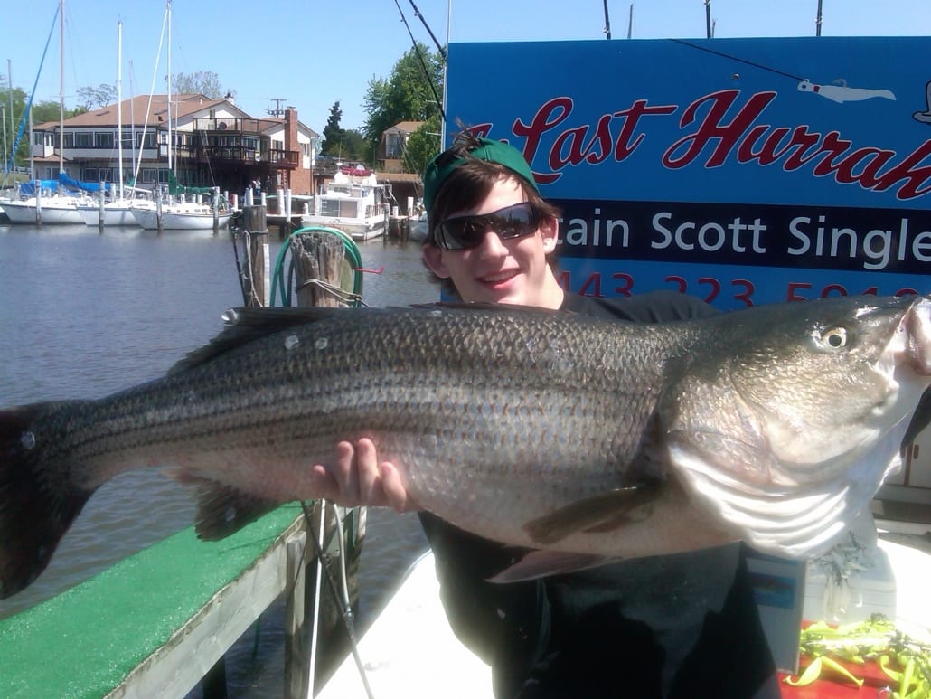 Chesapeake Bay Fishing Charter 2019 Spring Trophy Rockfish Season