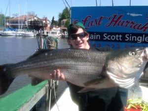 striped bass fishing charters
