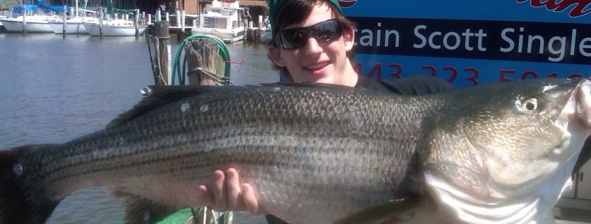 striped bass fishing charters