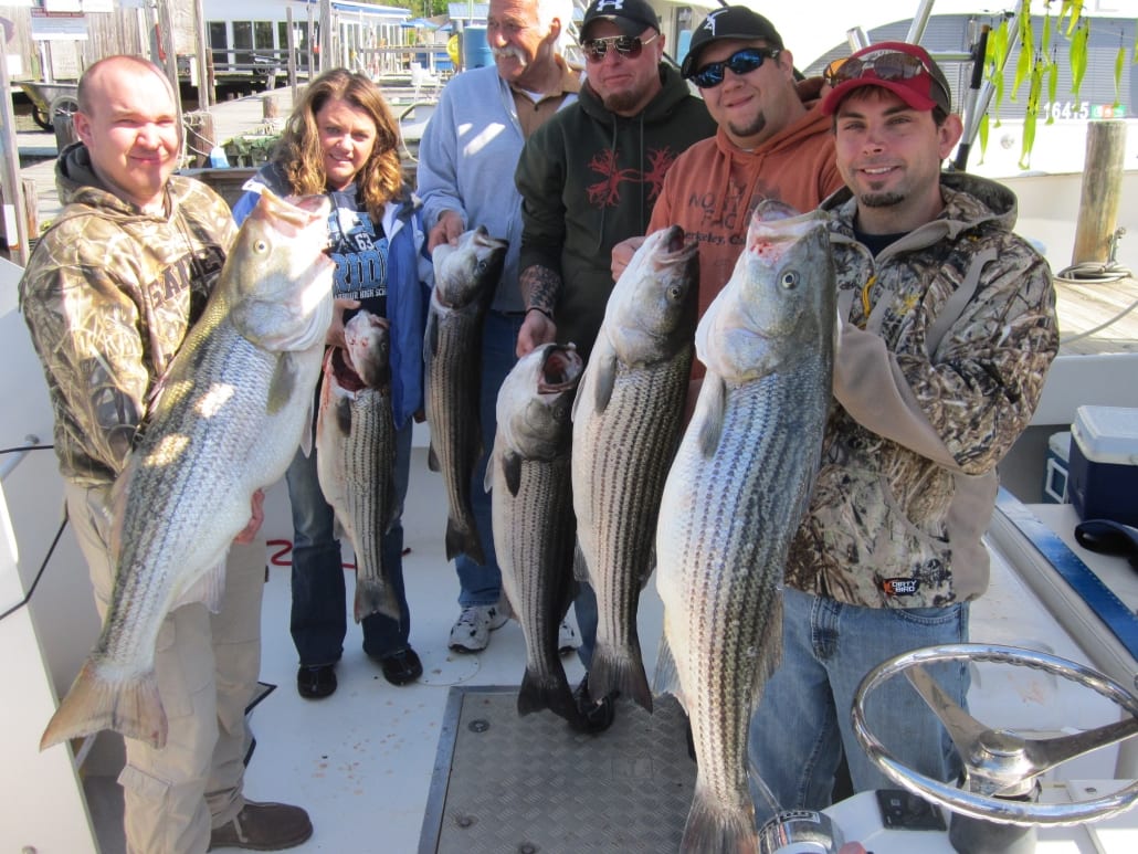 Chesapeake Bay Fishing Charter Spring Chesapeake Fishing