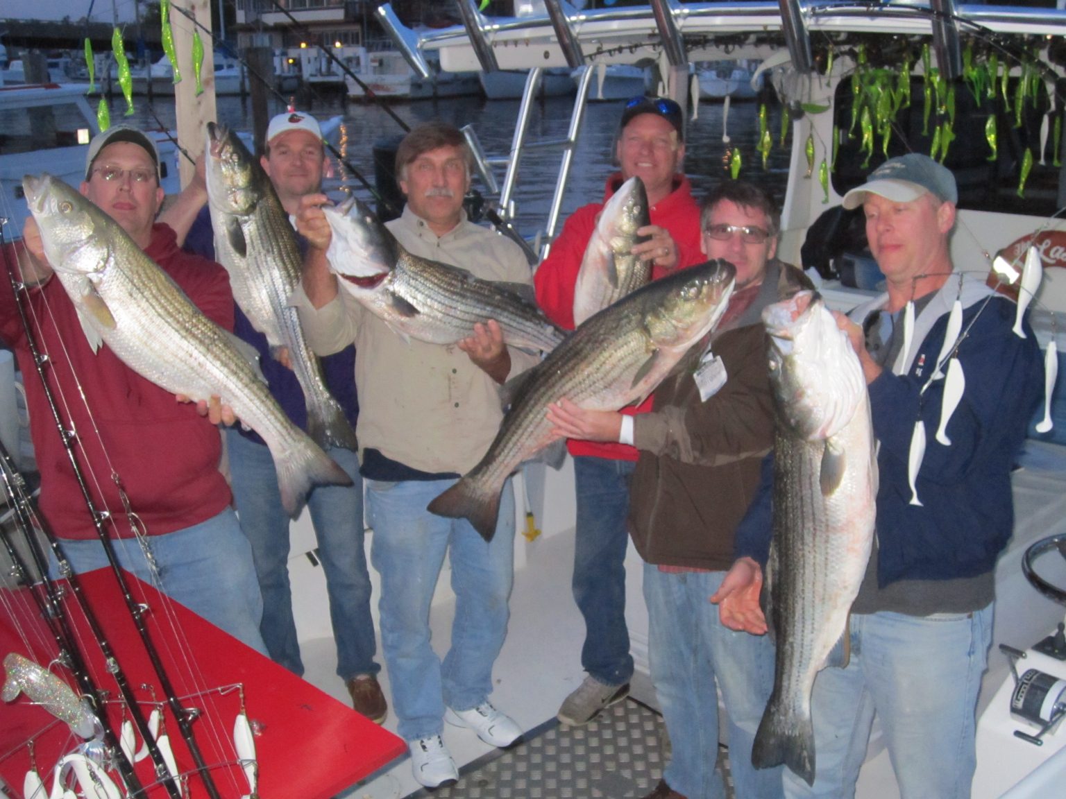 Chesapeake Bay Fishing Report